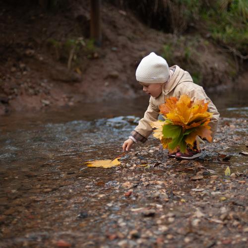 Photo #5069313