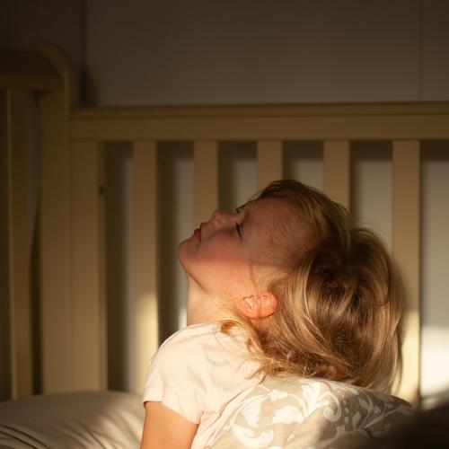 Photo #5069319