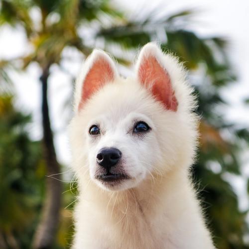 Photo #5069865