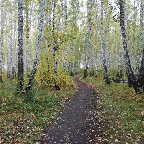 Photo #5070075