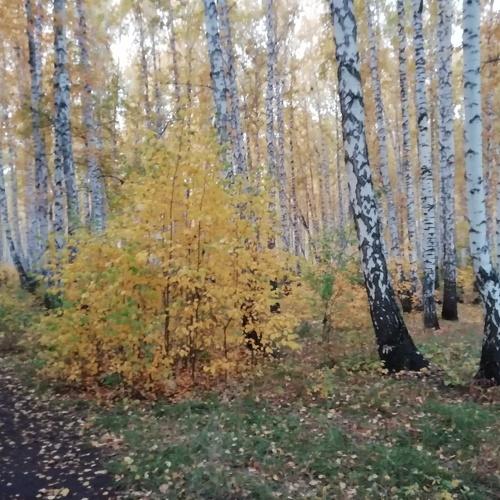 Photo #5070106