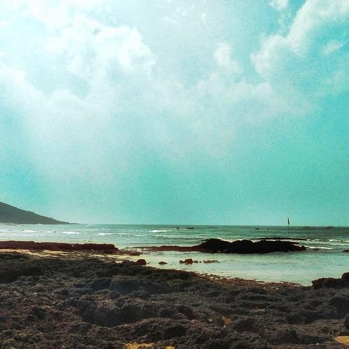 Photo #5070590