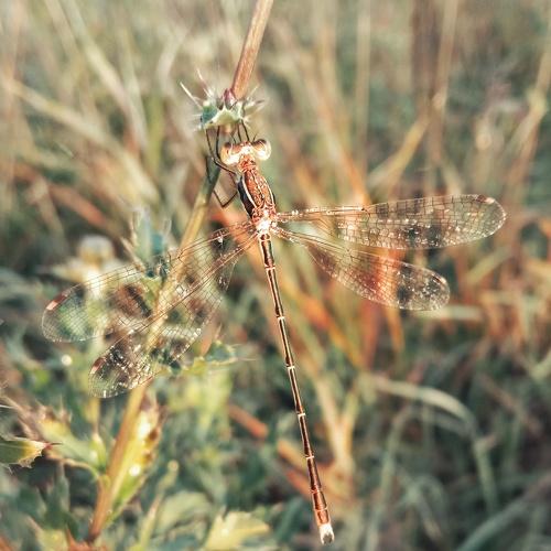 Photo #5070617