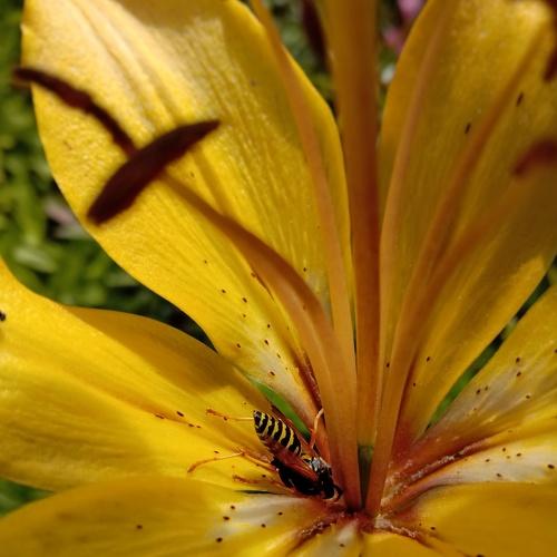 Photo #5070625