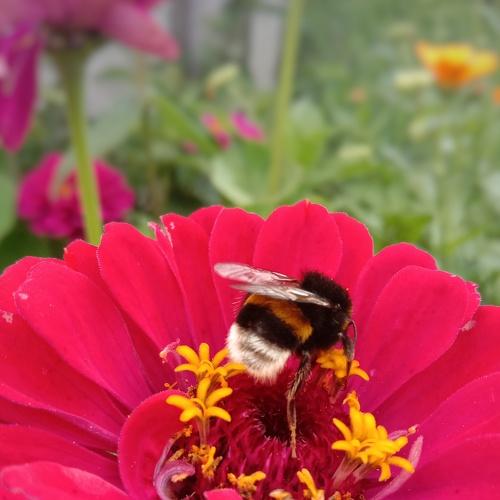 Photo #5070636