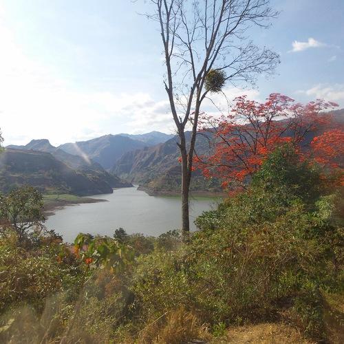 Photo #5070640