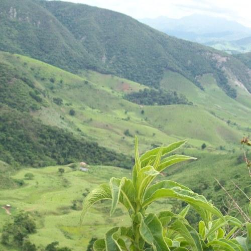Photo #5070699