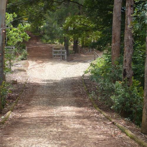 Caminhos.