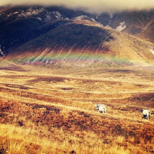 Photo #5070967