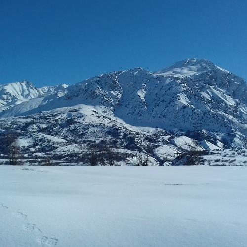 Photo #5071199