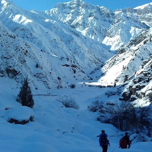 Photo #5071221