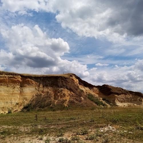 Photo #5071269