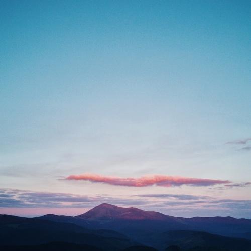 Photo #5071318