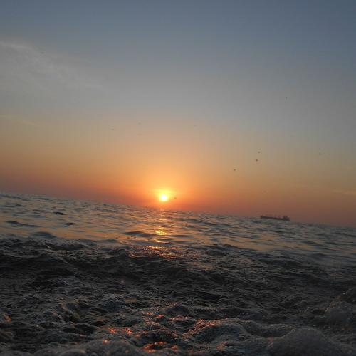 Photo #5071446