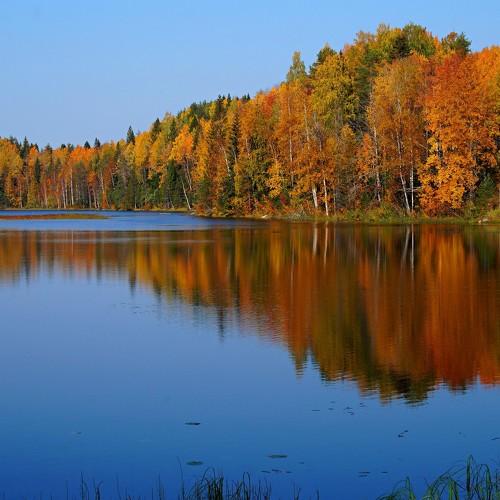 Photo #5071591