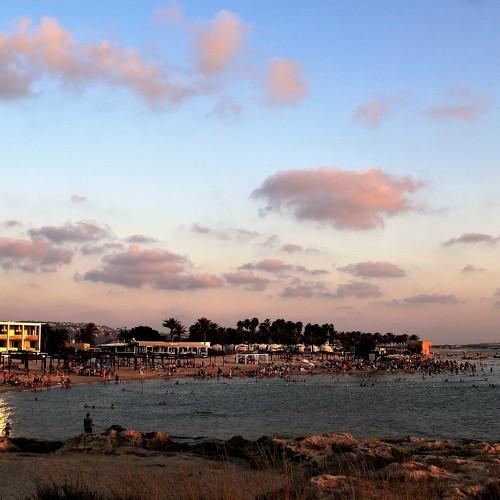 Photo #5071973