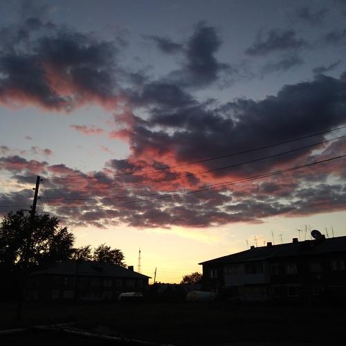 Photo #5072014