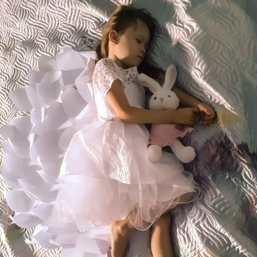 Photo #5072325