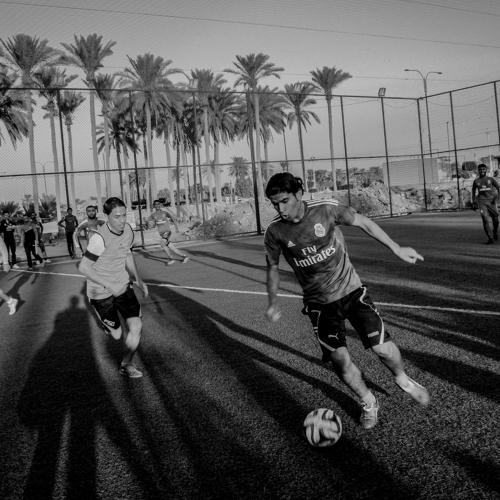 Photo #5072402