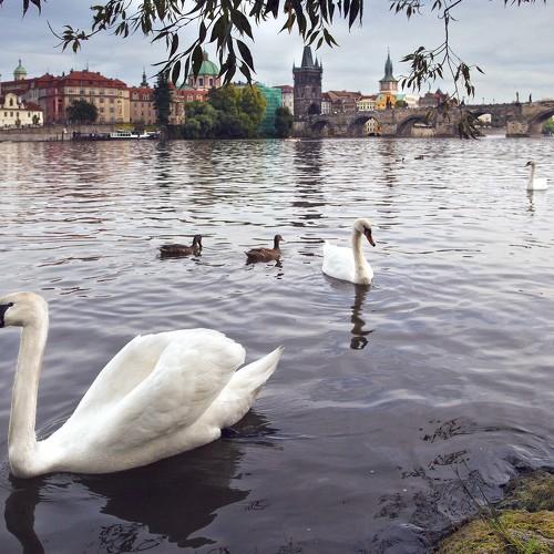 Photo #5072481