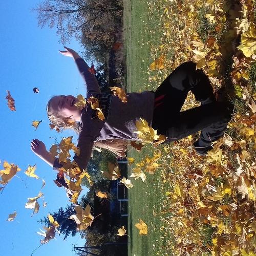 Photo #5072535