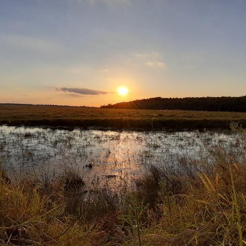 Photo #5072598