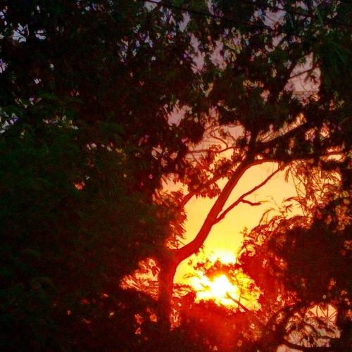 Photo #5073452