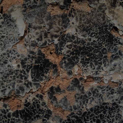 Photo #5073521