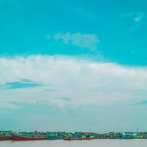 Photo #5073884