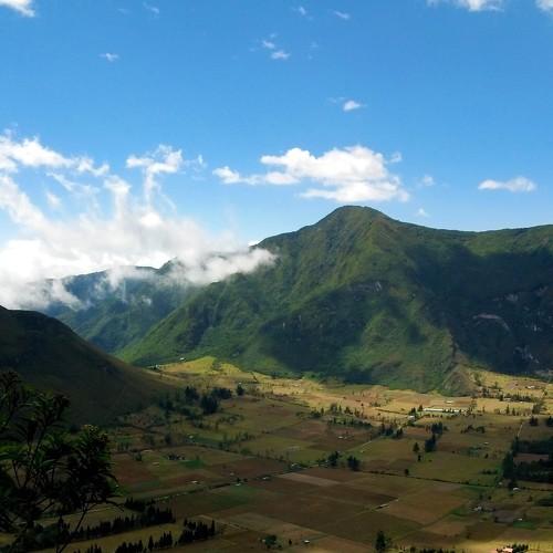 Photo #5073902