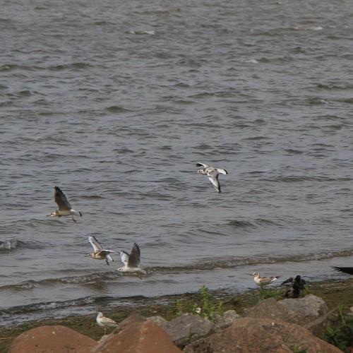 Photo #5074004