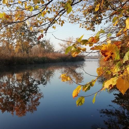 Photo #5074282