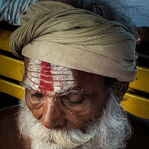 The Thoughtful Sage