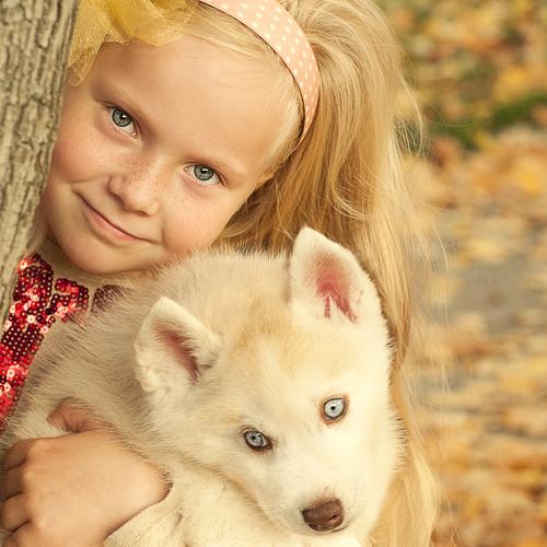 Photo #5074594