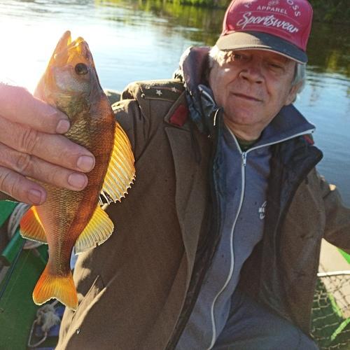 Photo #5074676