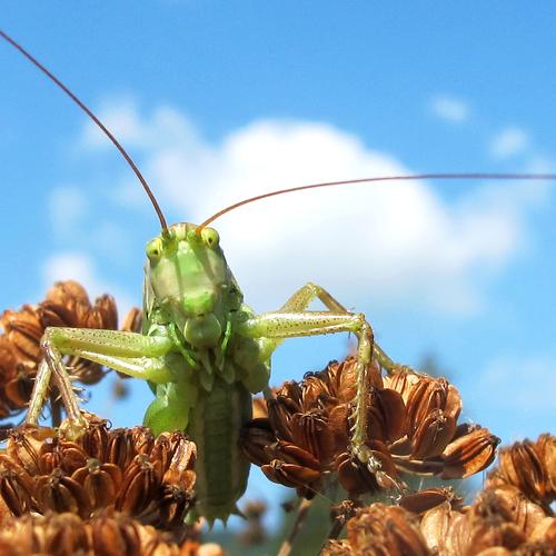 Photo #5074933
