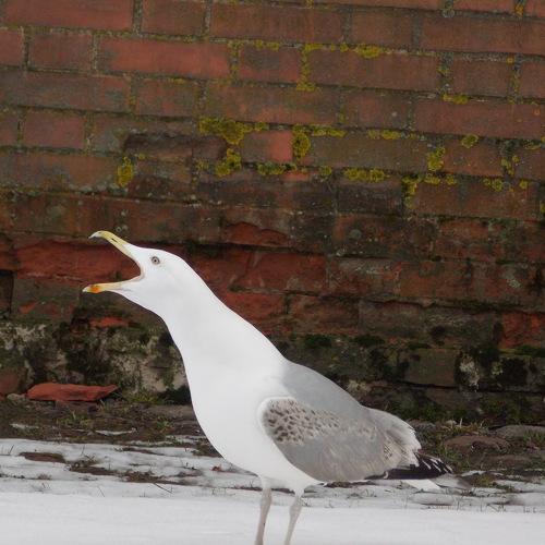 Photo #5074967
