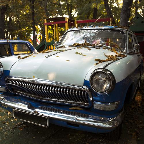 Photo #5075066