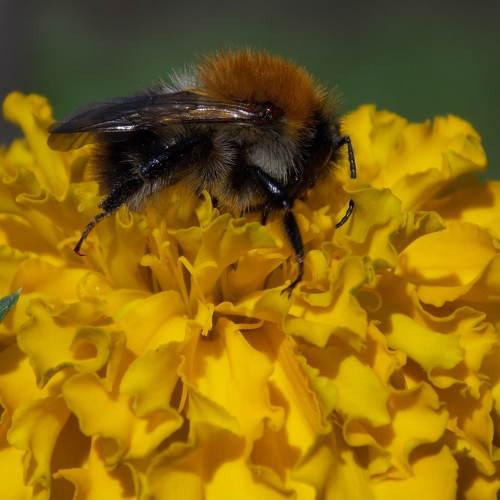 Photo #5075106