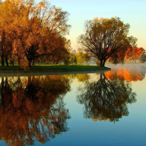 Photo #5075231