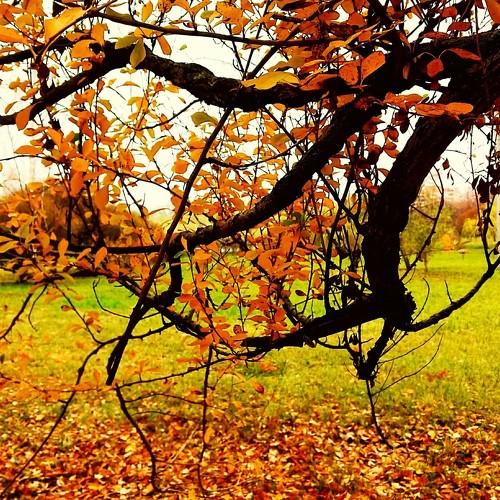 Photo #5075242