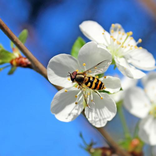 Photo #5075305