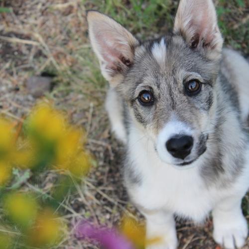 Photo #5075394