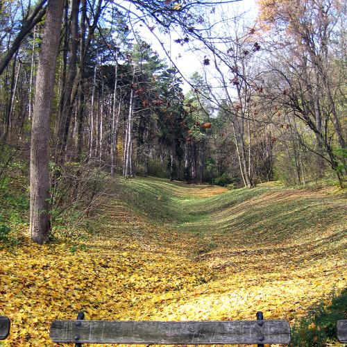 Photo #5075559