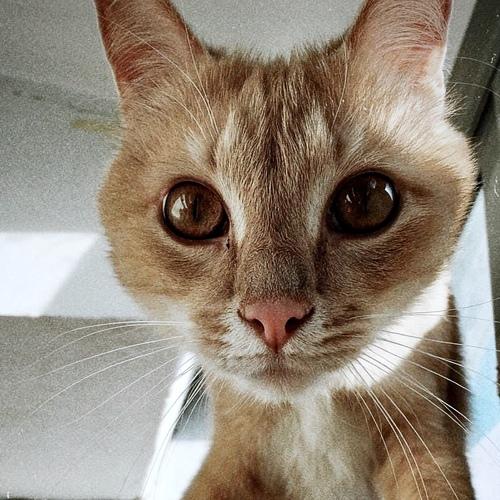 Photo #5075597