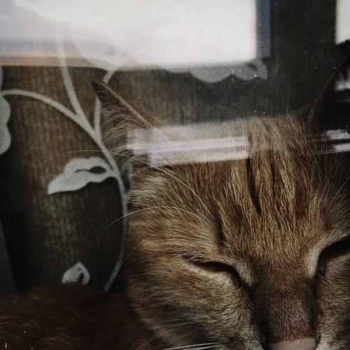 Photo #5075599
