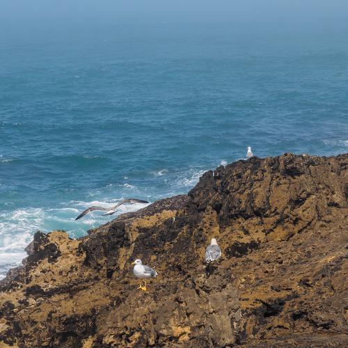 Photo #5075684