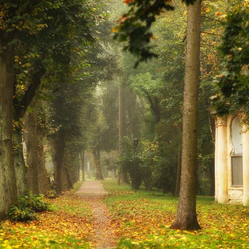 Photo #5076047