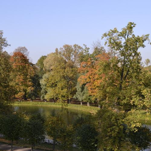 Photo #5076490