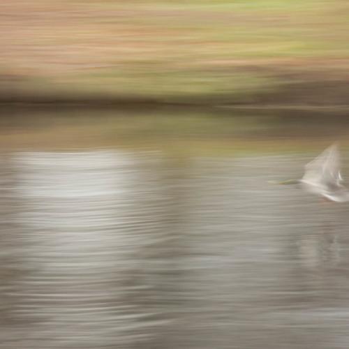 Photo #5076540